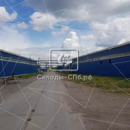 Дорога на Металлострой 5