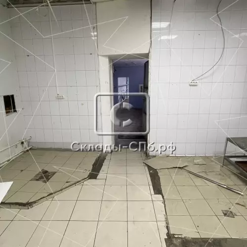 Пищевое 106 кв.м., 3 этаж