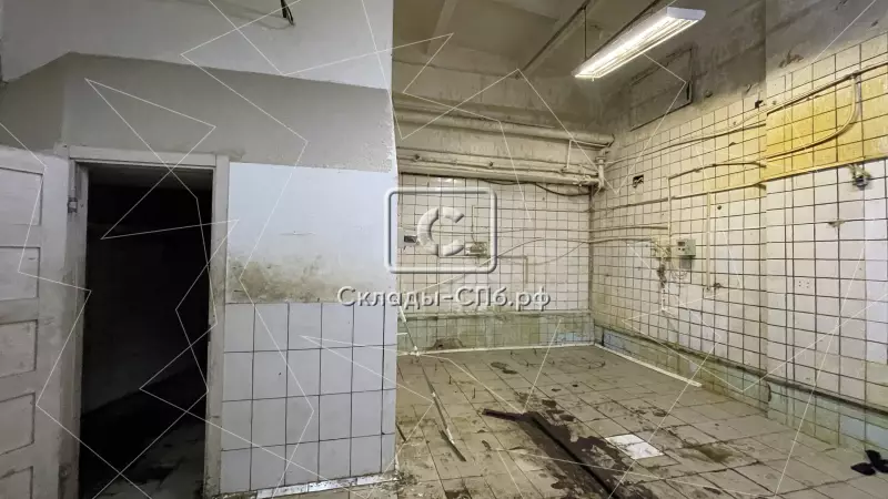 98. Фото объекта
